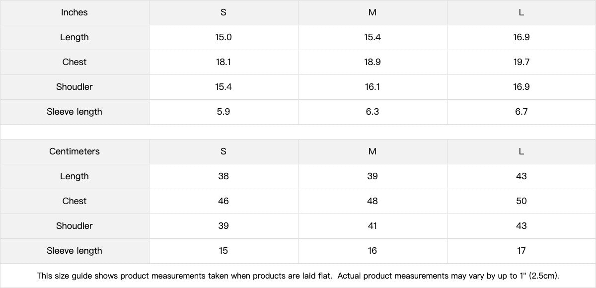Clothing By Hot Takes Designs size guide table for Stray Kids Run It distressed cropped tee measurements